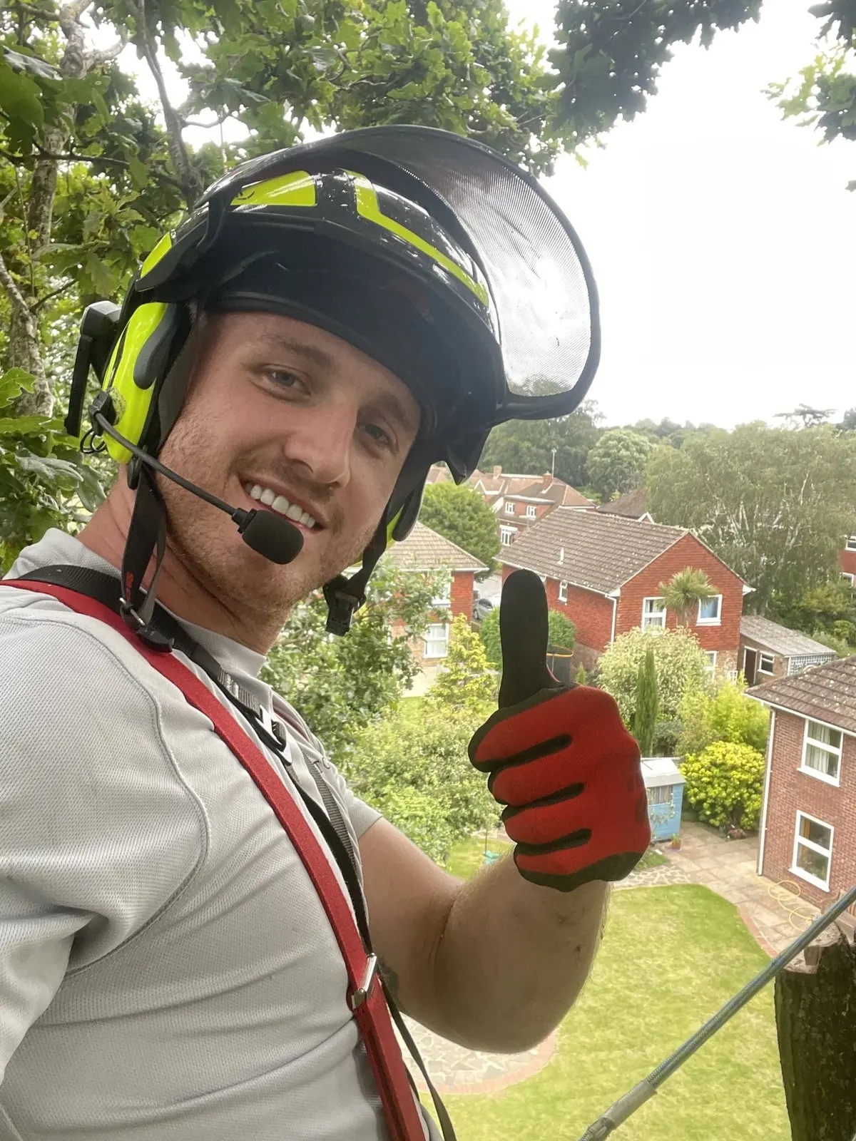Smiling Arbor & Stone arborist giving a thumbs up from a tree
