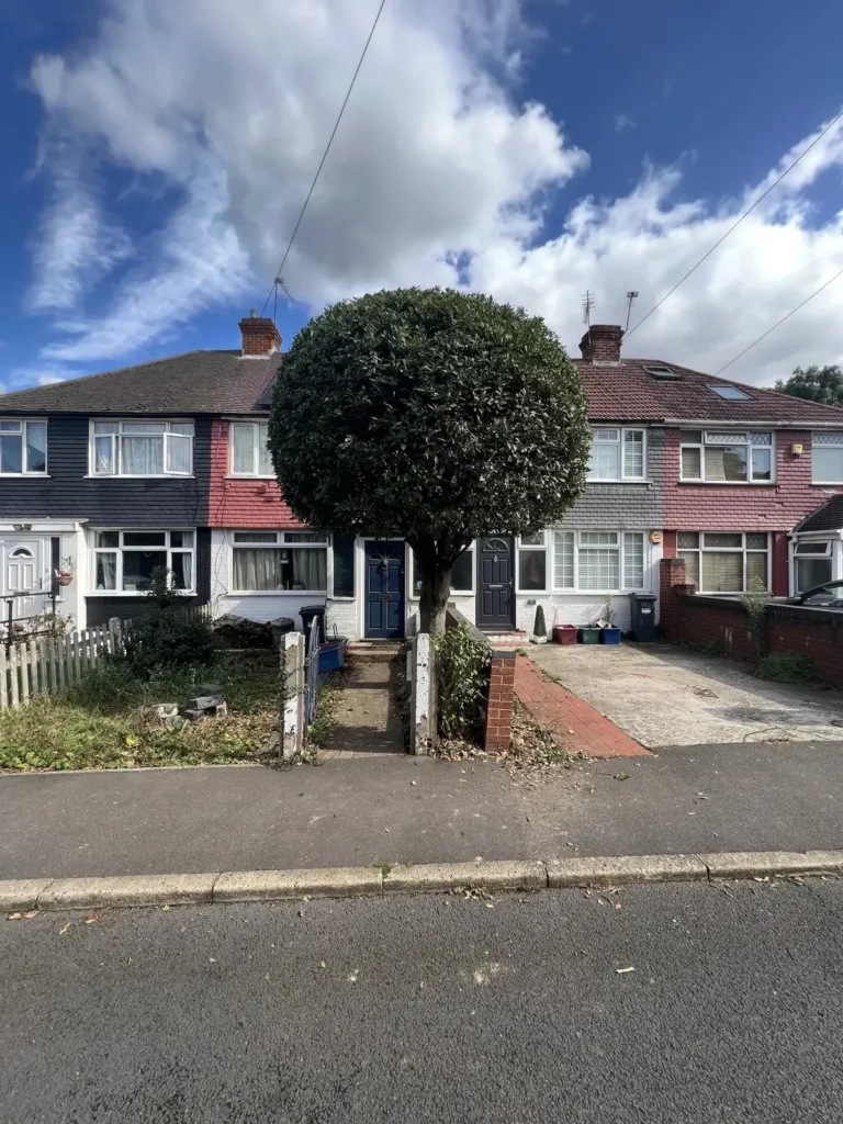 Ball-shaped tree trimmed in a front garden