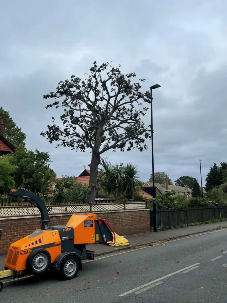 Wood chipper parked on the street during tree work