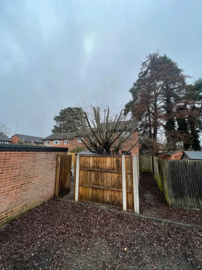 Garden boundary cleared after tree removal