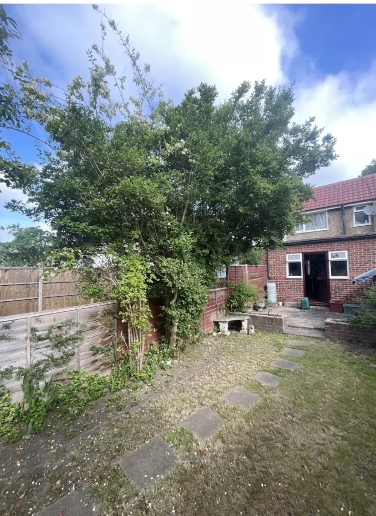 Garden tree thinned and shaped in a back garden