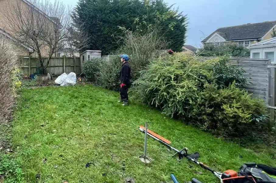Arbor & Stone team trimming hedges in a large garden
