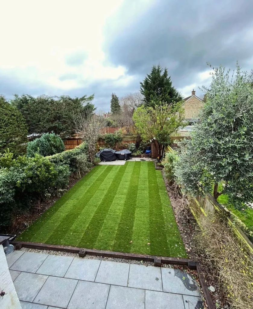 Striped lawn in a landscaped back garden