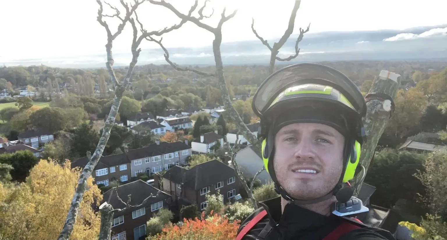 Arbor & Stone tree surgeon high in a tree canopy above suburban rooftops
