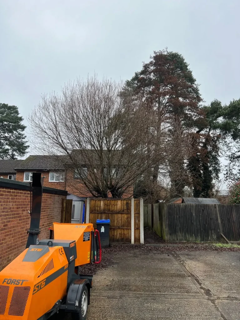 Arbor & Stone wood chipper ready on a driveway